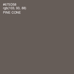 #675D58 - Pine Cone Color Image