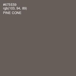 #675E59 - Pine Cone Color Image