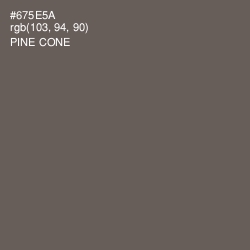 #675E5A - Pine Cone Color Image