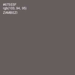 #675E5F - Zambezi Color Image