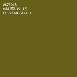 #67601B - Spicy Mustard Color Image