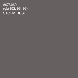 #676060 - Storm Dust Color Image