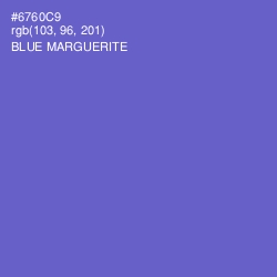 #6760C9 - Blue Marguerite Color Image