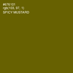 #676101 - Spicy Mustard Color Image