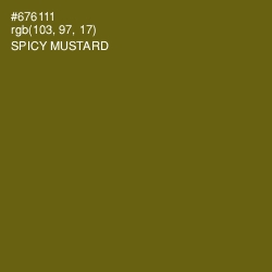 #676111 - Spicy Mustard Color Image