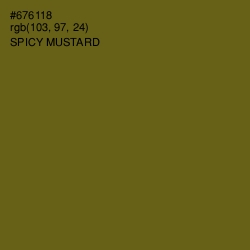 #676118 - Spicy Mustard Color Image