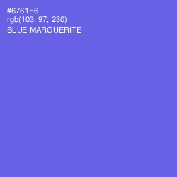 #6761E6 - Blue Marguerite Color Image