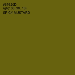 #67620D - Spicy Mustard Color Image