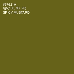 #67621A - Spicy Mustard Color Image