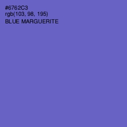 #6762C3 - Blue Marguerite Color Image