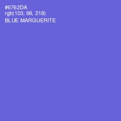 #6762DA - Blue Marguerite Color Image