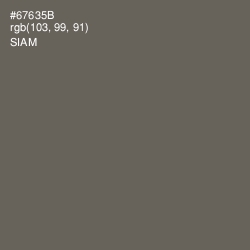 #67635B - Siam Color Image