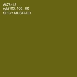 #676413 - Spicy Mustard Color Image