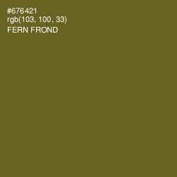 #676421 - Fern Frond Color Image