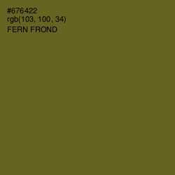 #676422 - Fern Frond Color Image