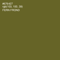 #676427 - Fern Frond Color Image