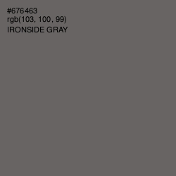 #676463 - Ironside Gray Color Image