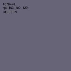 #676478 - Dolphin Color Image