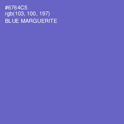 #6764C5 - Blue Marguerite Color Image