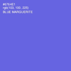 #6764E1 - Blue Marguerite Color Image