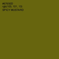 #67650D - Spicy Mustard Color Image