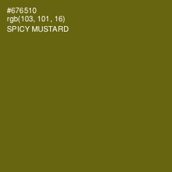#676510 - Spicy Mustard Color Image