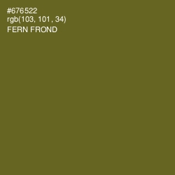 #676522 - Fern Frond Color Image