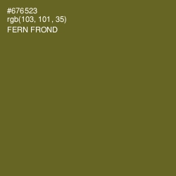 #676523 - Fern Frond Color Image