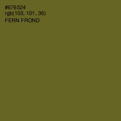 #676524 - Fern Frond Color Image