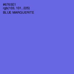 #6765E1 - Blue Marguerite Color Image