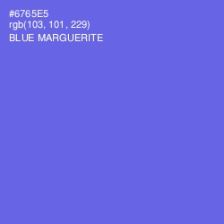 #6765E5 - Blue Marguerite Color Image