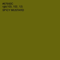 #67660C - Spicy Mustard Color Image