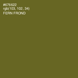 #676622 - Fern Frond Color Image