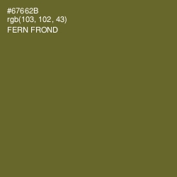 #67662B - Fern Frond Color Image