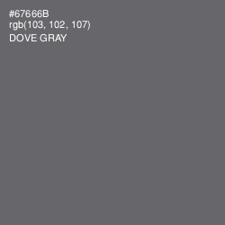 #67666B - Dove Gray Color Image