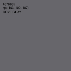 #67666B - Dove Gray Color Image