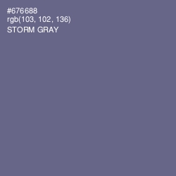 #676688 - Storm Gray Color Image