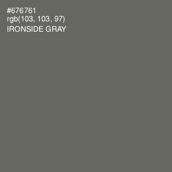 #676761 - Ironside Gray Color Image