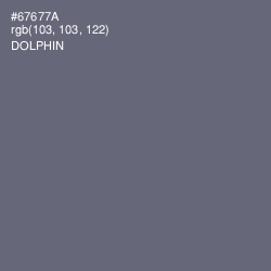 #67677A - Dolphin Color Image