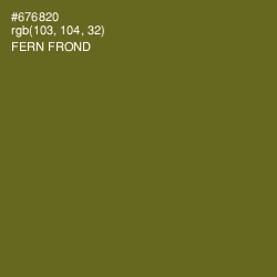 #676820 - Fern Frond Color Image