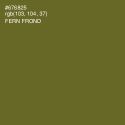 #676825 - Fern Frond Color Image