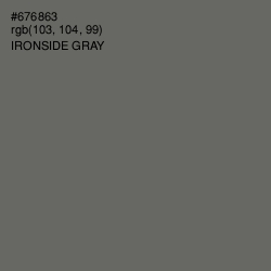 #676863 - Ironside Gray Color Image