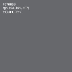 #67686B - Corduroy Color Image