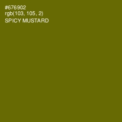 #676902 - Spicy Mustard Color Image