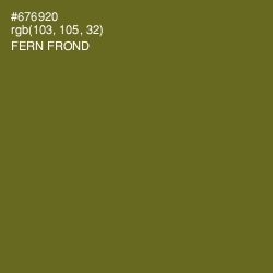 #676920 - Fern Frond Color Image