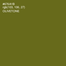 #676A1B - Olivetone Color Image