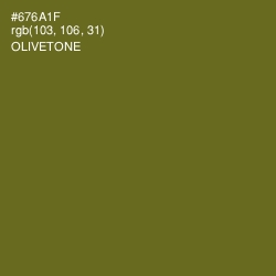 #676A1F - Olivetone Color Image