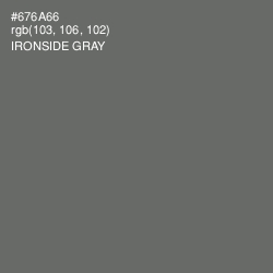 #676A66 - Ironside Gray Color Image