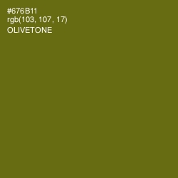 #676B11 - Olivetone Color Image