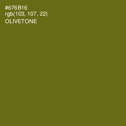 #676B16 - Olivetone Color Image